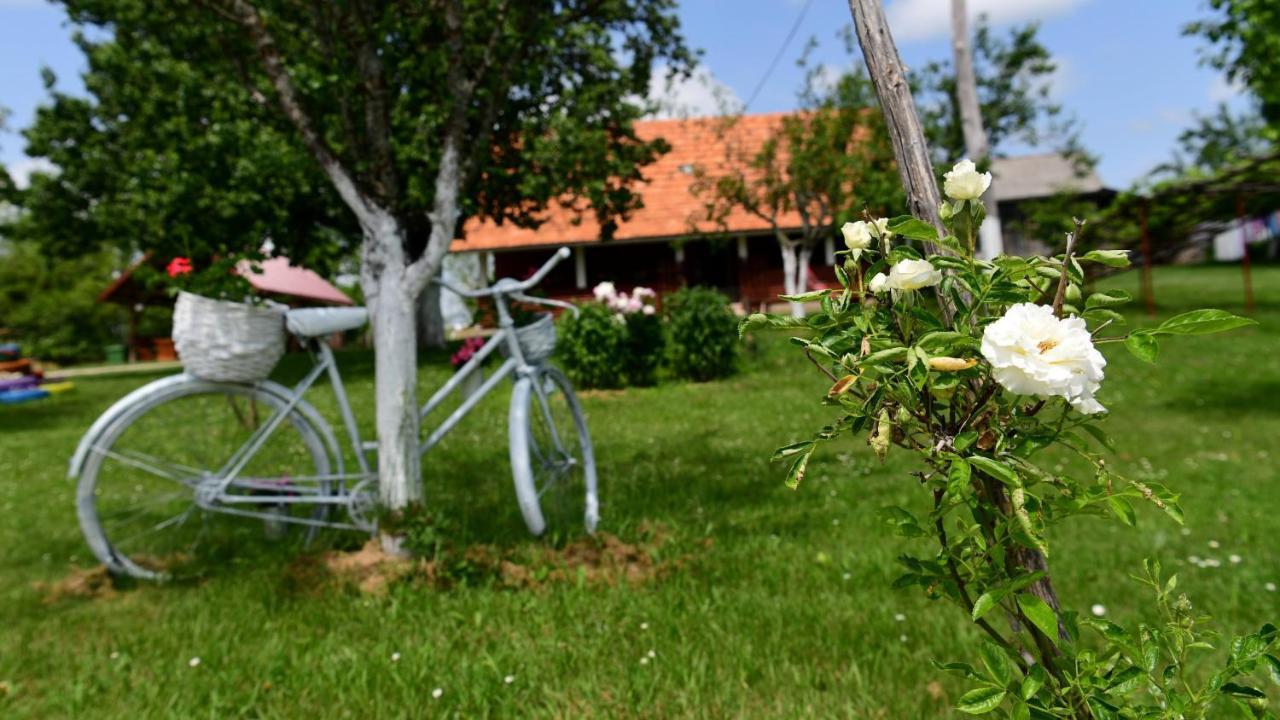 House Luna Rakovica Exteriér fotografie