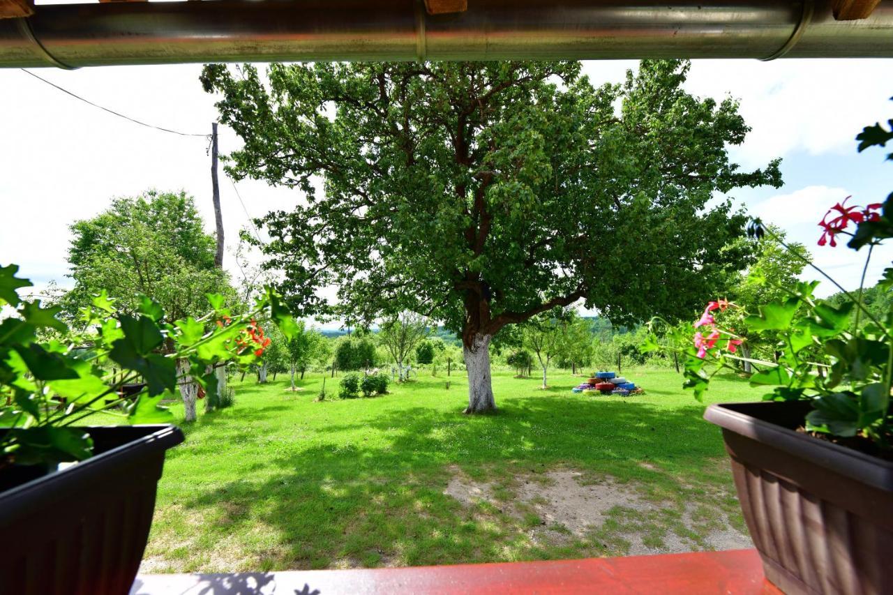 House Luna Rakovica Exteriér fotografie