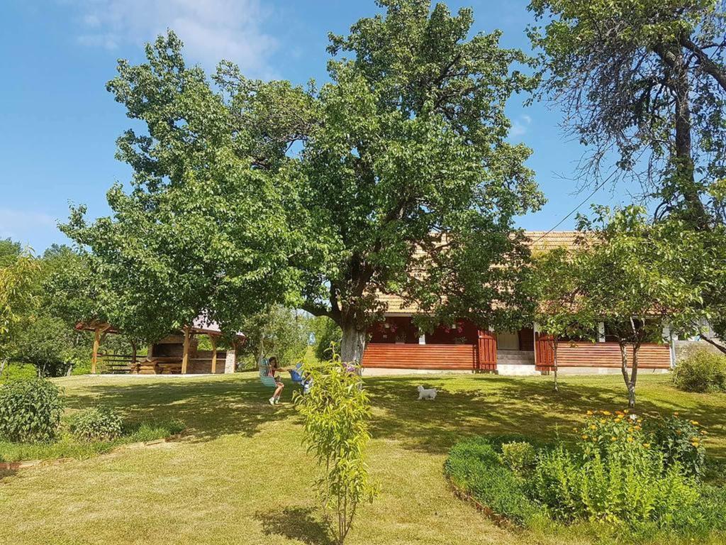 House Luna Rakovica Exteriér fotografie